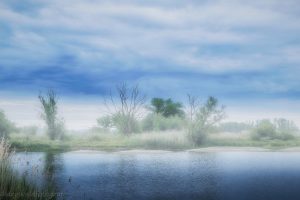 An der Elbe